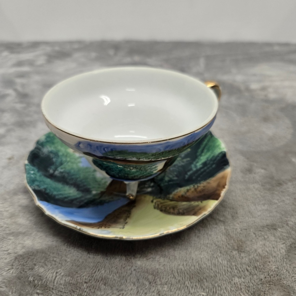 Vintage Nico Japan Natural Bridge VA Hand Painted Footed Tea Cup and Saucer Set